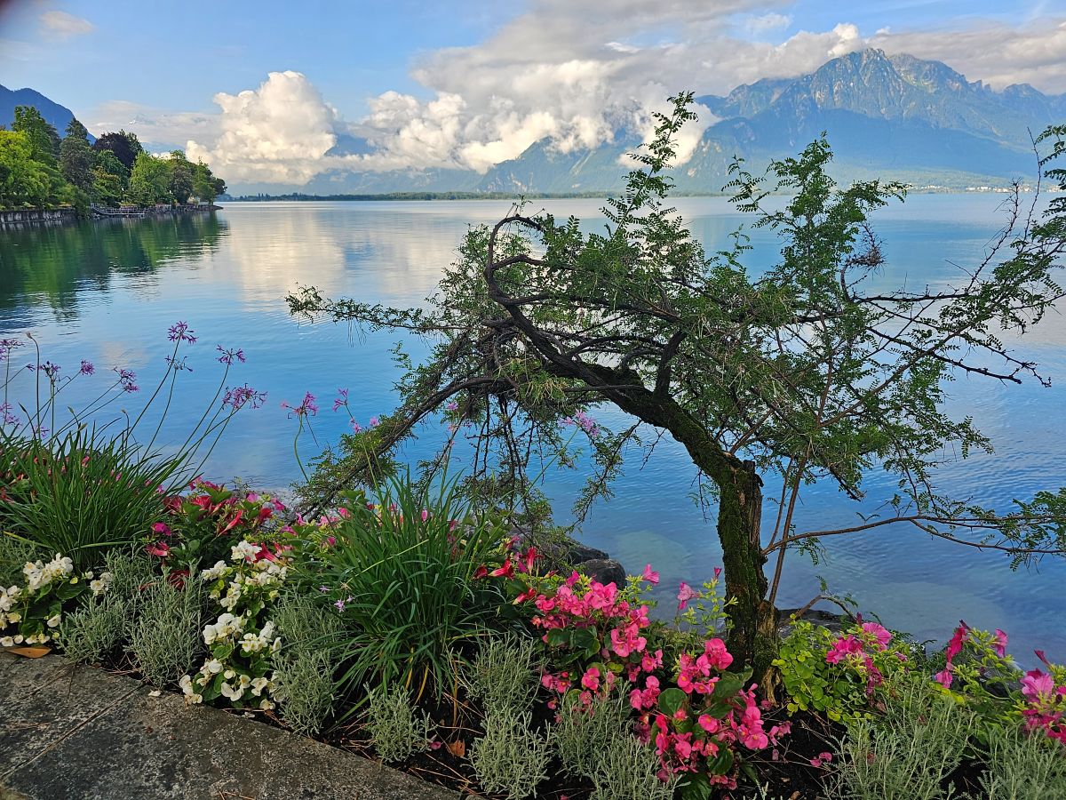 12 of the best things to do in Montreux Switzerland